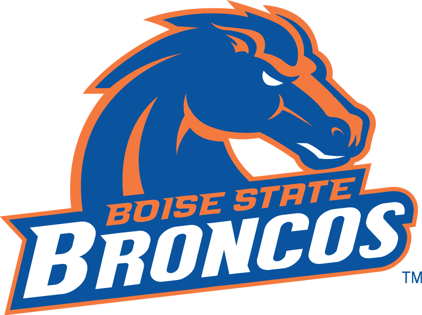 Boise State Broncos 2002-2012 Alternate Logo diy iron on heat transfer